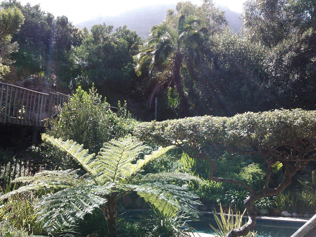 Hout Bay Hideaway Quarto foto